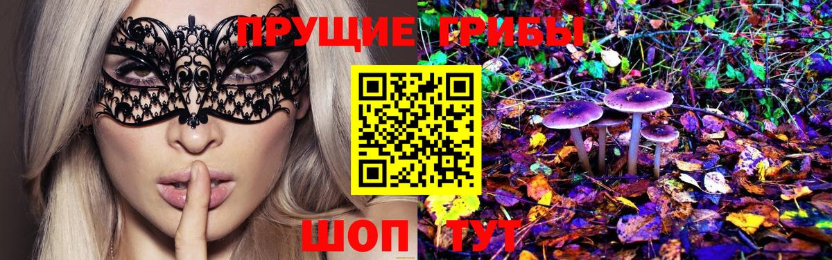 Галлюциногенные грибы Psilocybe Тимашёвск