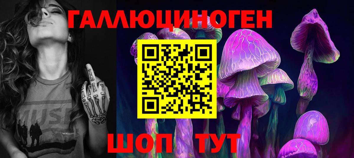 Галлюциногенные грибы Cubensis  Псилоцибиновые грибы GOLDEN TEACHER  Тимашёвск  Вход с VPN 