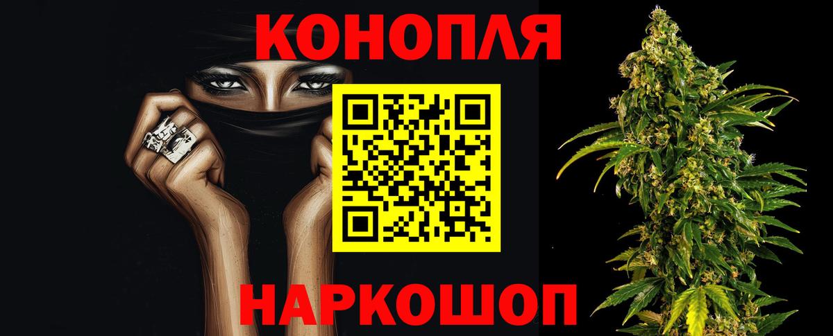 Бошки Шишки планчик  Вход с VPN  Тимашёвск  Каннабис планчик  Шишки марихуана гибрид 